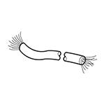 [0240005250] ACC. CAVO BUS 20 mt CANOPEN